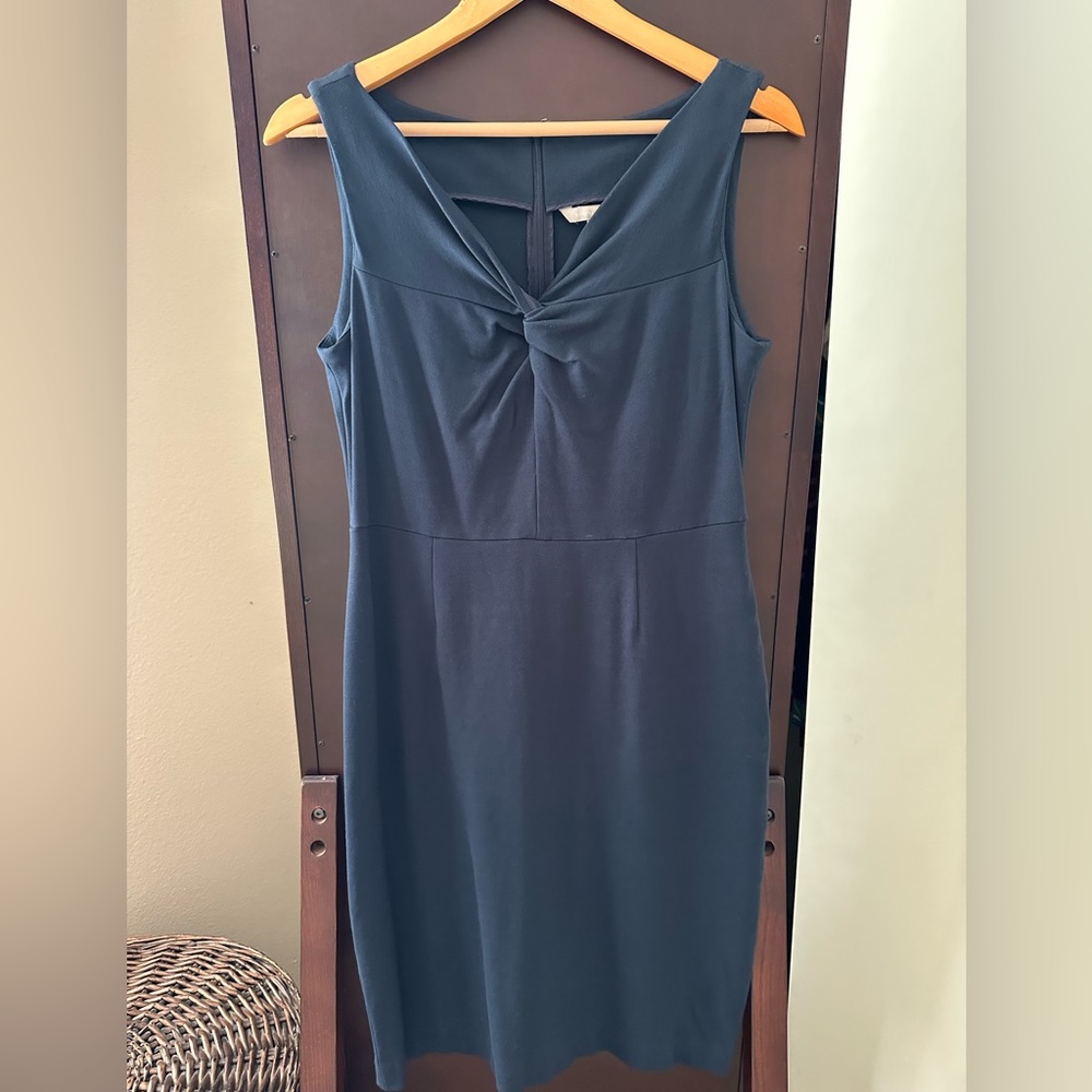 Banana Republic Rayon Blend Dress in Navy